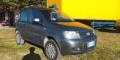 usato FIAT Panda