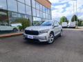 usato SKODA Enyaq iV