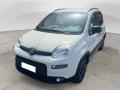 usato FIAT Panda