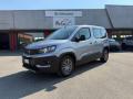 usato PEUGEOT Rifter