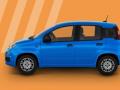 usato FIAT Panda