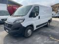 usato FIAT Ducato