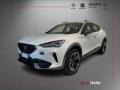 usato CUPRA Formentor