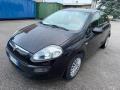 usato FIAT Punto Evo