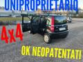 usato FIAT Panda