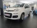 usato FIAT Panda