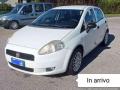 usato FIAT Grande Punto