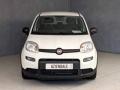 usato FIAT Panda