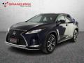 usato LEXUS RX 450h