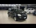 usato FIAT Panda
