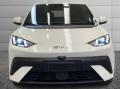 usato BYD Dolphin