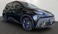 usato BYD Dolphin Surf