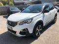 usato PEUGEOT 3008