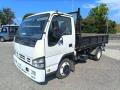usato ISUZU NKR