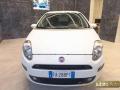 usato FIAT Punto