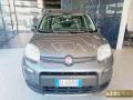 usato FIAT Panda