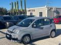 usato FIAT Panda