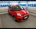 usato FIAT Panda