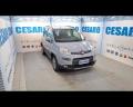 usato FIAT New Panda