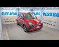 usato FIAT New Panda