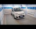 usato FIAT New Panda