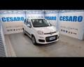 usato FIAT New Panda