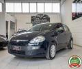 usato FIAT Punto Evo