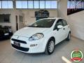 usato FIAT Punto