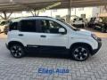 usato FIAT Pandina