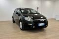 usato FIAT Punto Evo