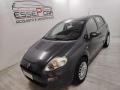 usato FIAT Punto