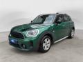 usato MINI Countryman