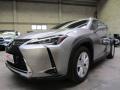 usato LEXUS UX 250h