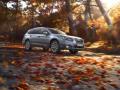 usato SUBARU OUTBACK