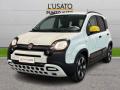 usato FIAT Panda Cross
