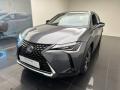 usato LEXUS UX 250h