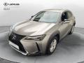 usato LEXUS UX 250h