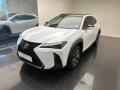 usato LEXUS UX 250h