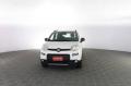 usato FIAT Panda