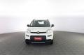 usato FIAT Panda