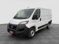 usato FIAT Ducato