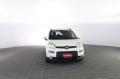 usato FIAT Panda