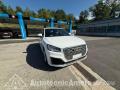 usato AUDI Q2