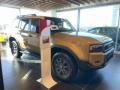 nuovo TOYOTA Land Cruiser