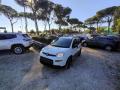 usato FIAT New Panda