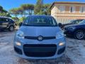 usato FIAT New Panda