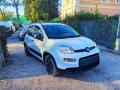 usato FIAT New Panda