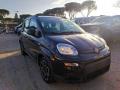 usato FIAT New Panda
