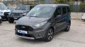 usato FORD Transit Connect
