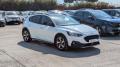 usato FORD Focus